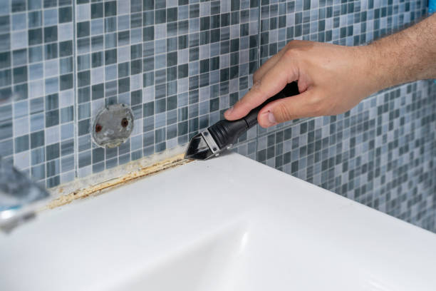 Best Residential Mold Remediation in Mansura, LA